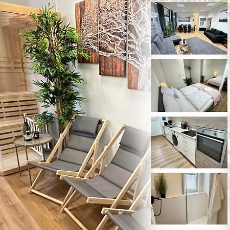 Das Loft - Sauna - 4 Schlafzimmer - 2 Baeder - Stadtmitte - 2 Parkplaetze 슈파이어 외부 사진